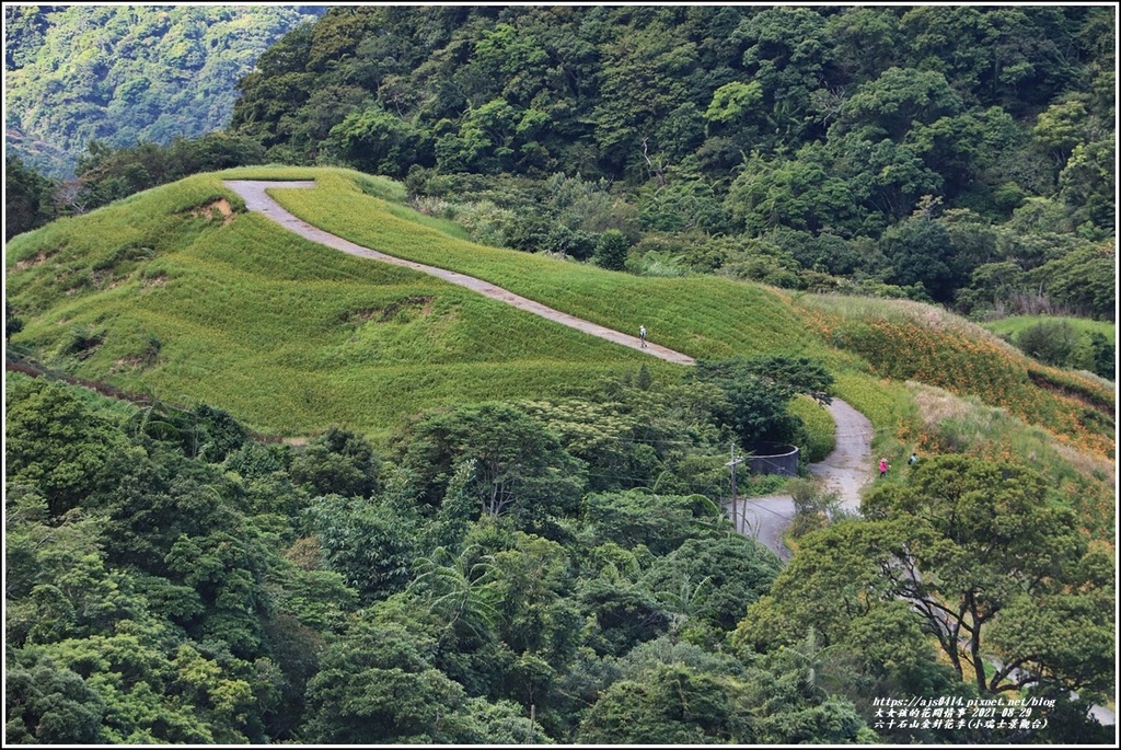 六十石山金針花季小瑞士景觀台)-2021-08-10.jpg