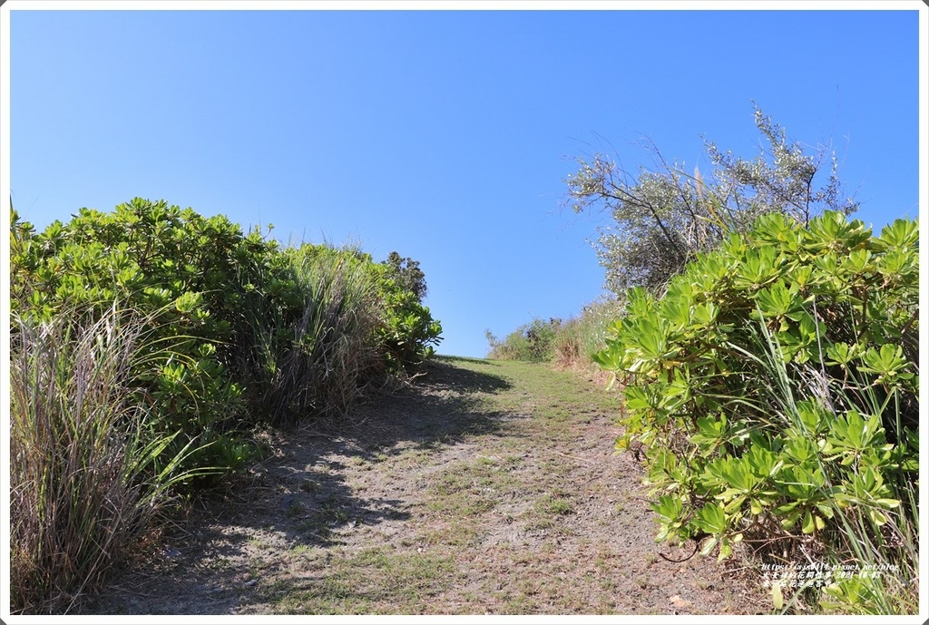 東管處花蓮遊客中心-2021-10-08.jpg 東管處花蓮遊客中心-2021-10-08.jpg