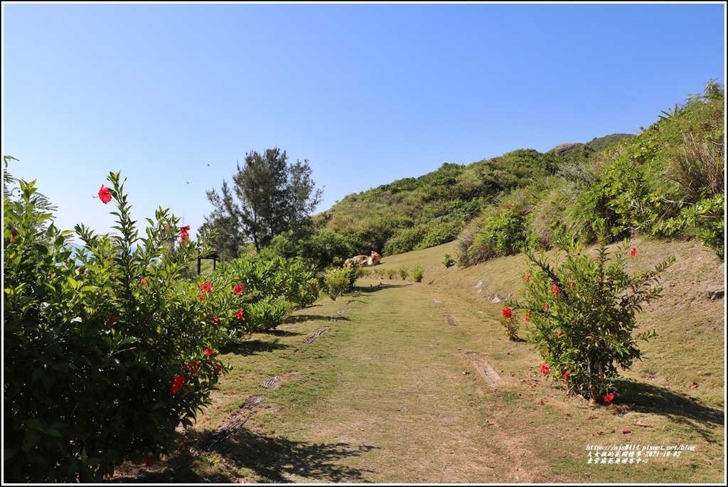 東管處花蓮遊客中心-2021-10-16.jpg 東管處花蓮遊客中心-2021-10-16.jpg