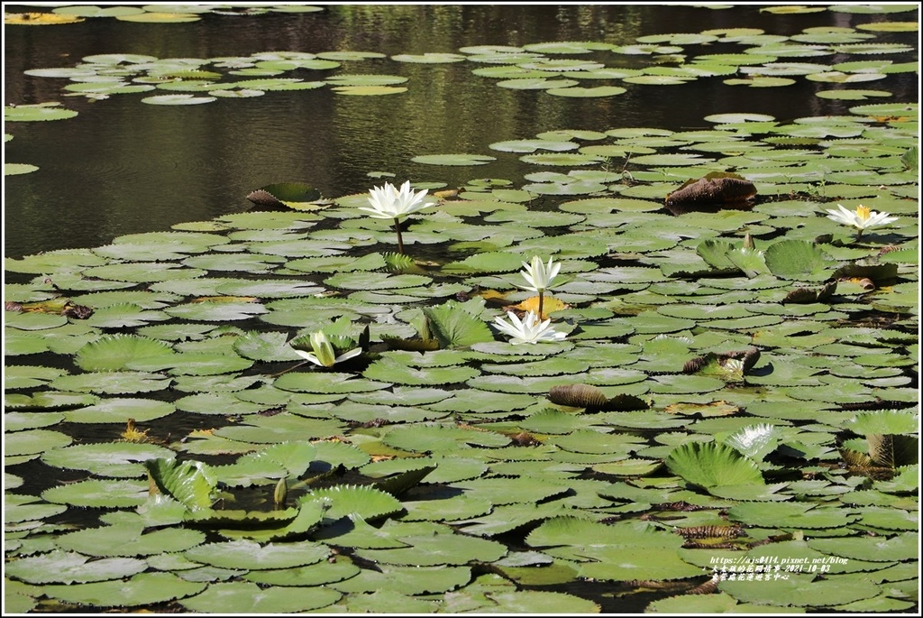 東管處花蓮遊客中心-2021-10-26.jpg 東管處花蓮遊客中心-2021-10-26.jpg