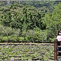 花蓮吉安蓮城蓮花園-2021-09-12.jpg