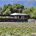 花蓮吉安蓮城蓮花園-2021-09-21.jpg