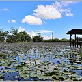 花蓮吉安蓮城蓮花園-2021-09-34.jpg