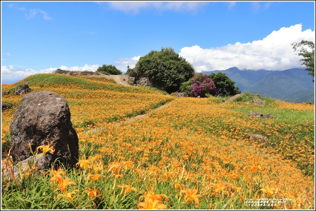 六十石山金針花(鹿蔥亭)-2021-08-20.jpg