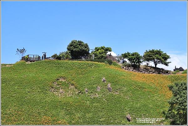 六十石山金針花(鹿蔥亭)-2021-08-55.jpg