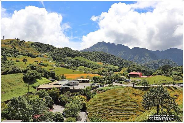 六十石山金針花(賞萱坊觀景平台)-2021-08-04.jpg