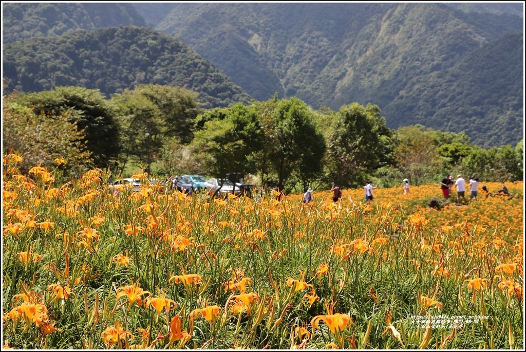 六十石山金針花季(黃花亭)-2021-08-05.jpg