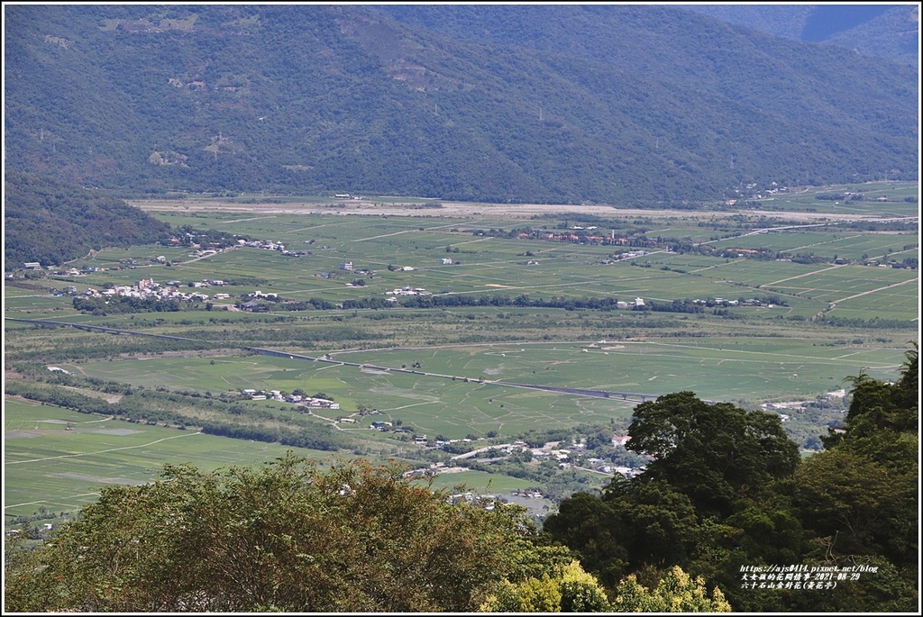 六十石山金針花季(黃花亭)-2021-08-25.jpg