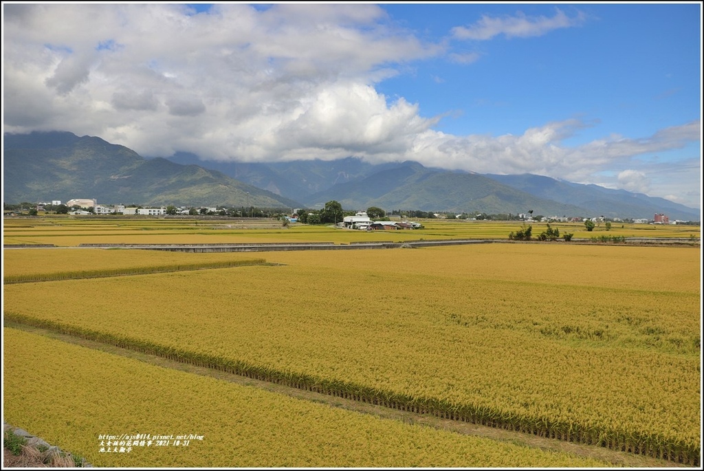 池上大觀亭-2021-10-04.jpg