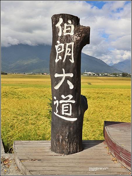 池上伯朗大道-2021-10-17.jpg