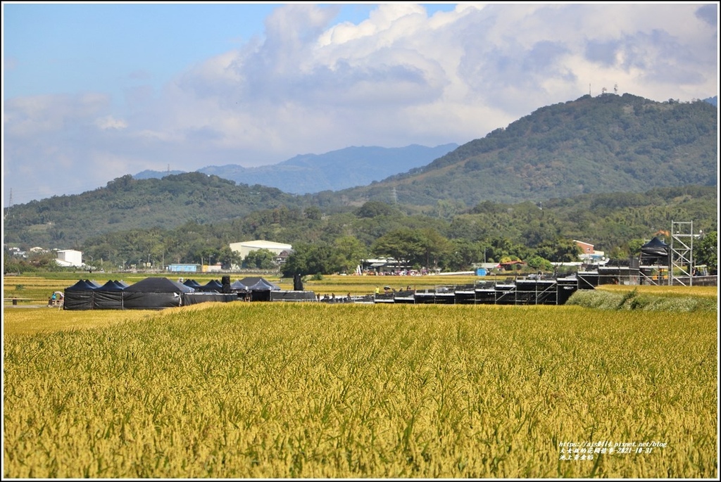 池上黃金稻-2021-10-61.jpg