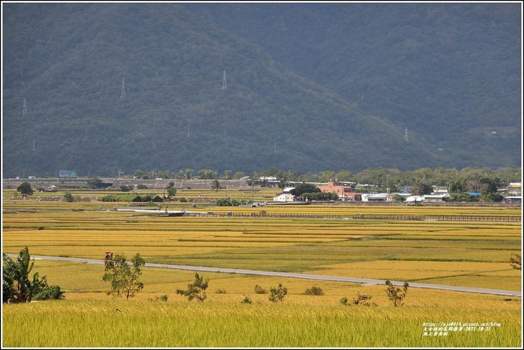 池上黃金稻-2021-10-70.jpg