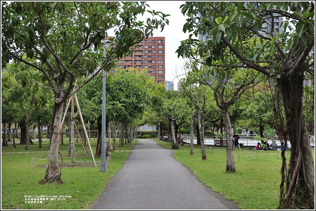 大安森林公園-2021-11-43.jpg