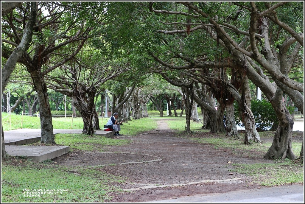 大安森林公園-2021-11-68.jpg