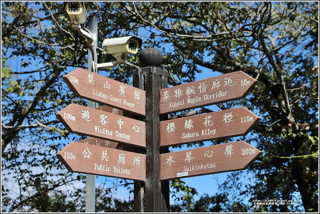 梨山-2021-11-19.jpg 梨山-2021-11-19.jpg