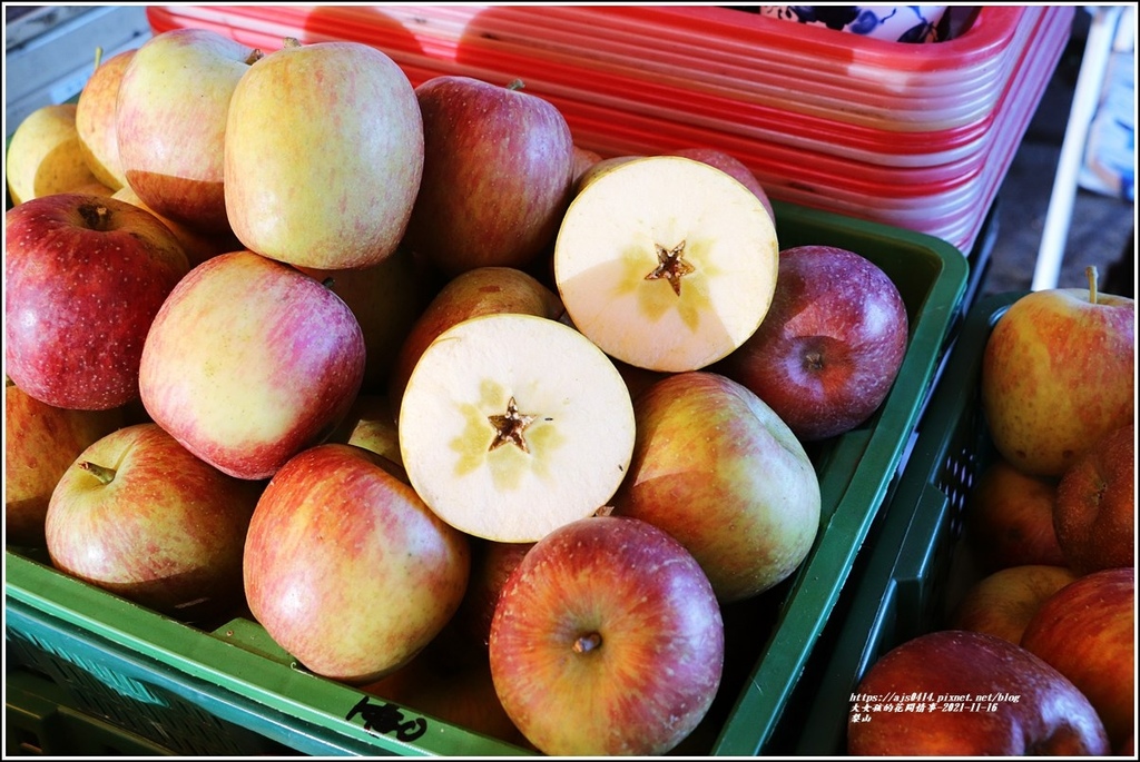 梨山-2021-11-27.jpg 梨山-2021-11-27.jpg