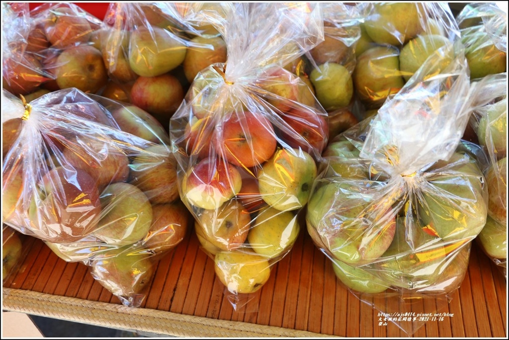 梨山-2021-11-31.jpg 梨山-2021-11-31.jpg