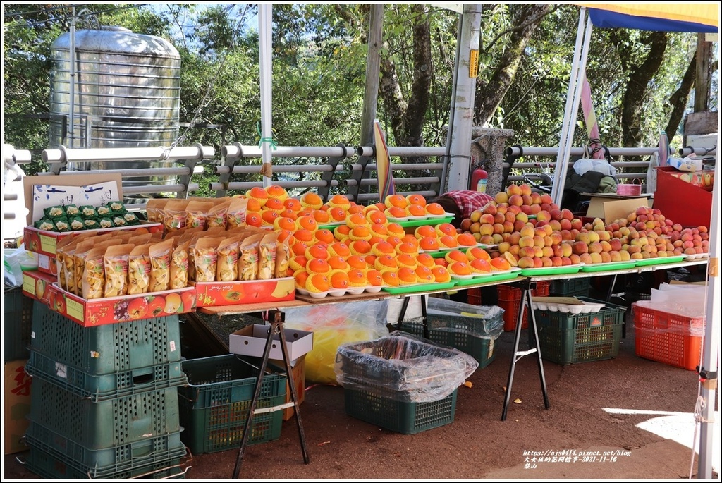 梨山-2021-11-32.jpg 梨山-2021-11-32.jpg