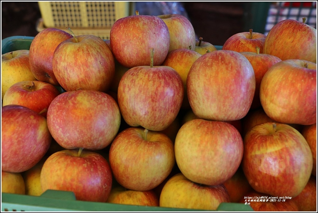 梨山-2021-11-30.jpg 梨山-2021-11-30.jpg