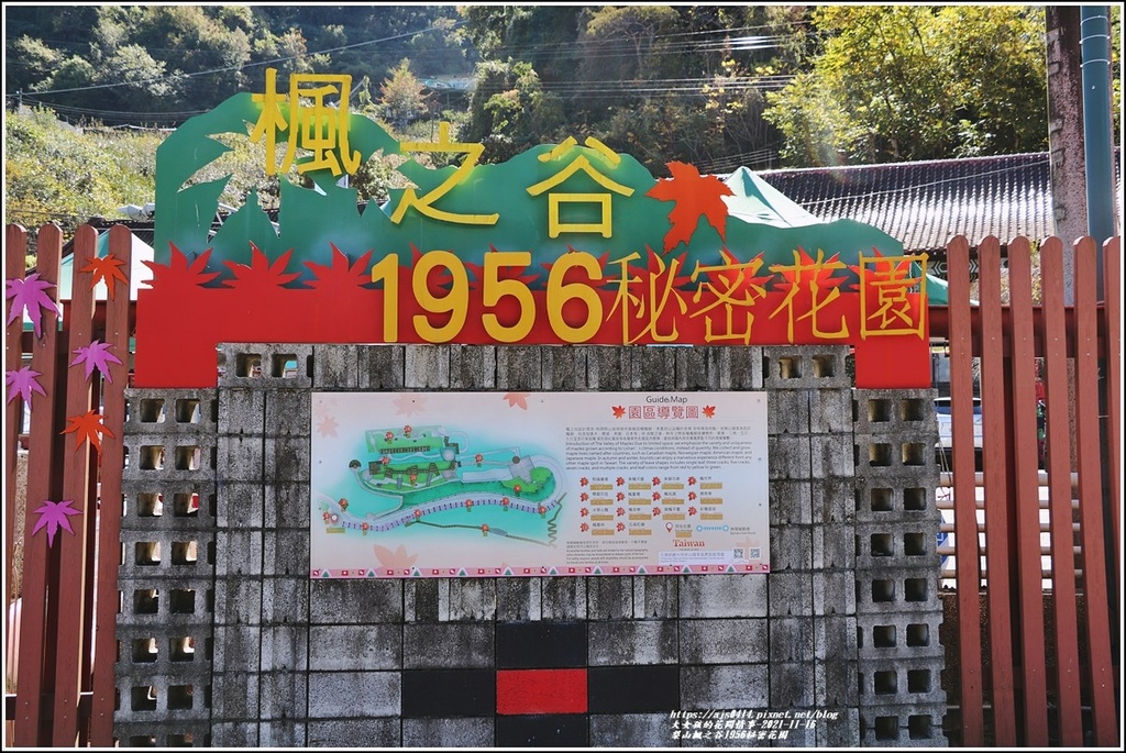 梨山楓之谷1956秘密花園-2021-11-01.jpg 梨山楓之谷1956秘密花園-2021-11-01.jpg