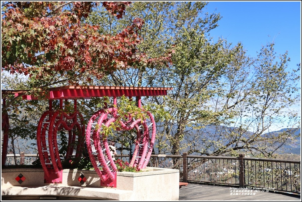 梨山楓之谷1956秘密花園-2021-11-06.jpg 梨山楓之谷1956秘密花園-2021-11-06.jpg