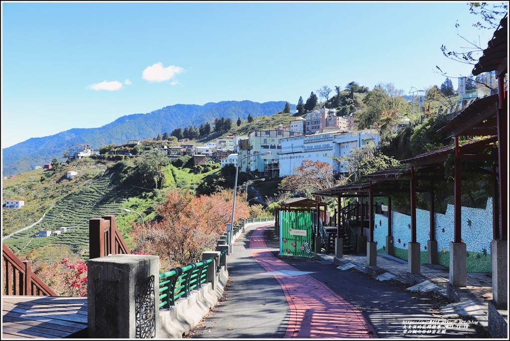 梨山楓之谷1956秘密花園-2021-11-22.jpg 梨山楓之谷1956秘密花園-2021-11-22.jpg