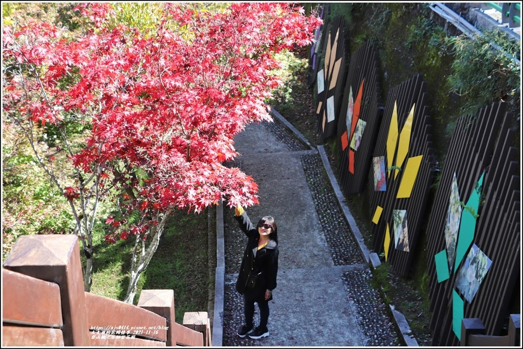 梨山楓之谷1956秘密花園-2021-11-28.jpg 梨山楓之谷1956秘密花園-2021-11-28.jpg