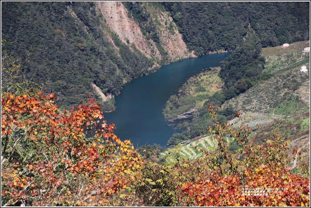梨山楓之谷1956秘密花園-2021-11-40.jpg 梨山楓之谷1956秘密花園-2021-11-40.jpg