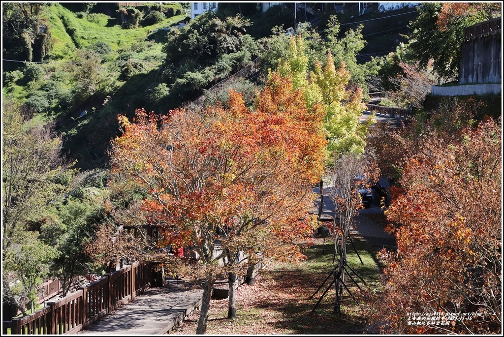 梨山楓之谷1956秘密花園-2021-11-47.jpg