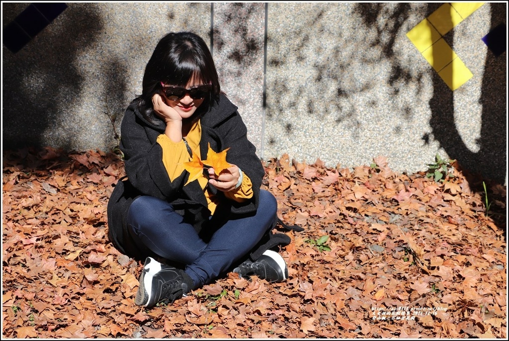 梨山楓之谷1956秘密花園-2021-11-65.jpg 梨山楓之谷1956秘密花園-2021-11-65.jpg