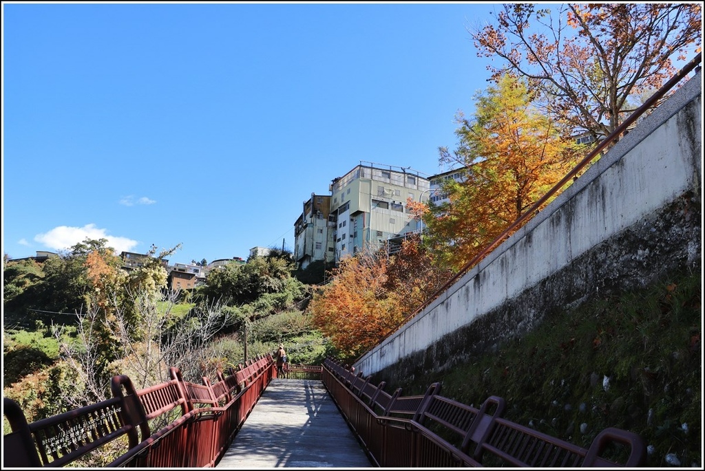 梨山楓之谷1956秘密花園-2021-11-74.jpg 梨山楓之谷1956秘密花園-2021-11-74.jpg