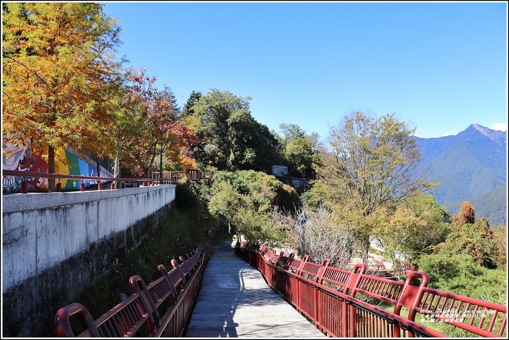 梨山楓之谷1956秘密花園-2021-11-73.jpg 梨山楓之谷1956秘密花園-2021-11-73.jpg