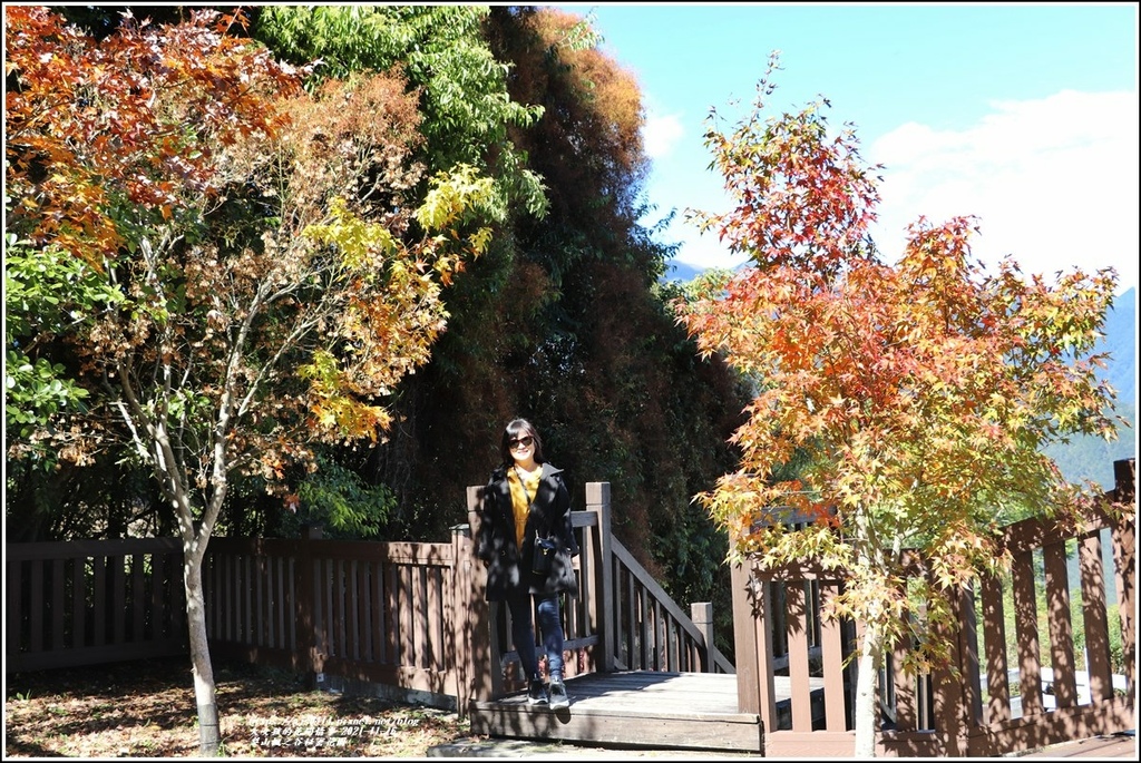 梨山楓之谷1956秘密花園-2021-11-93.jpg