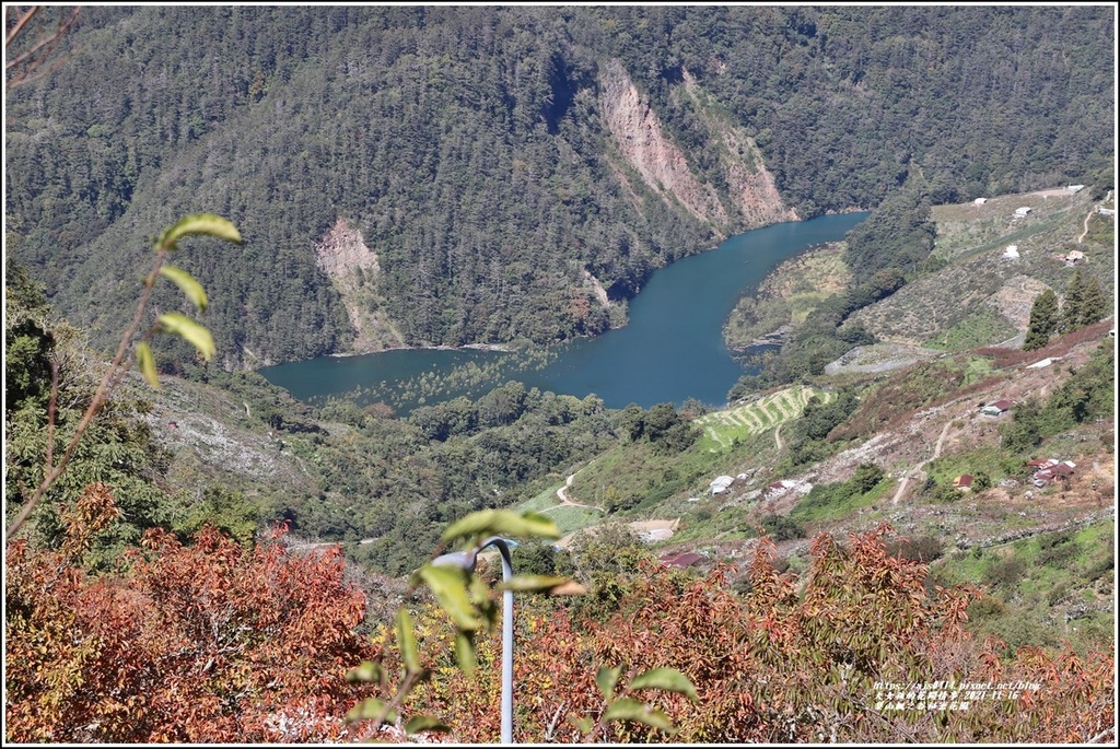 梨山楓之谷1956秘密花園-2021-11-113.jpg 梨山楓之谷1956秘密花園-2021-11-113.jpg