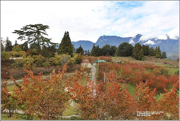 福壽山農場鴛鴦湖-2021-11-49.jpg