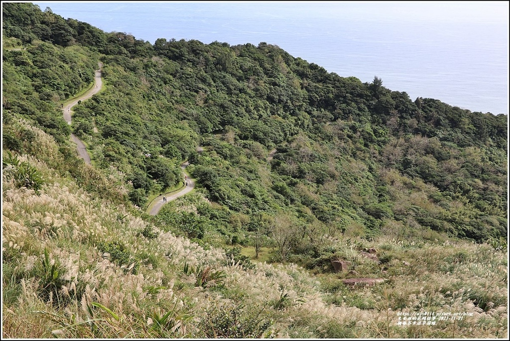 桃源谷步道草嶺線-2021-11-12.jpg