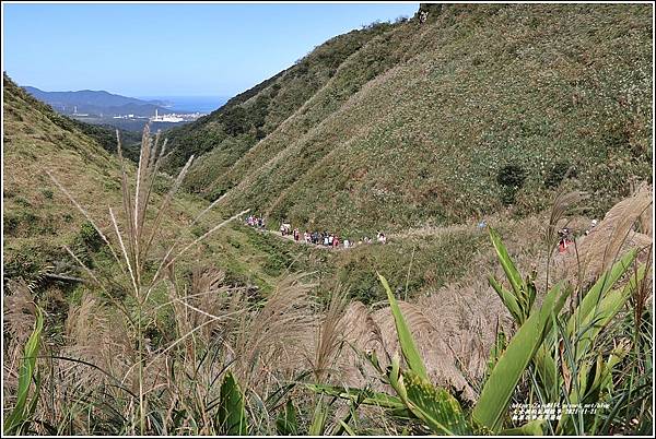 桃源谷步道草嶺線-2021-11-44.jpg