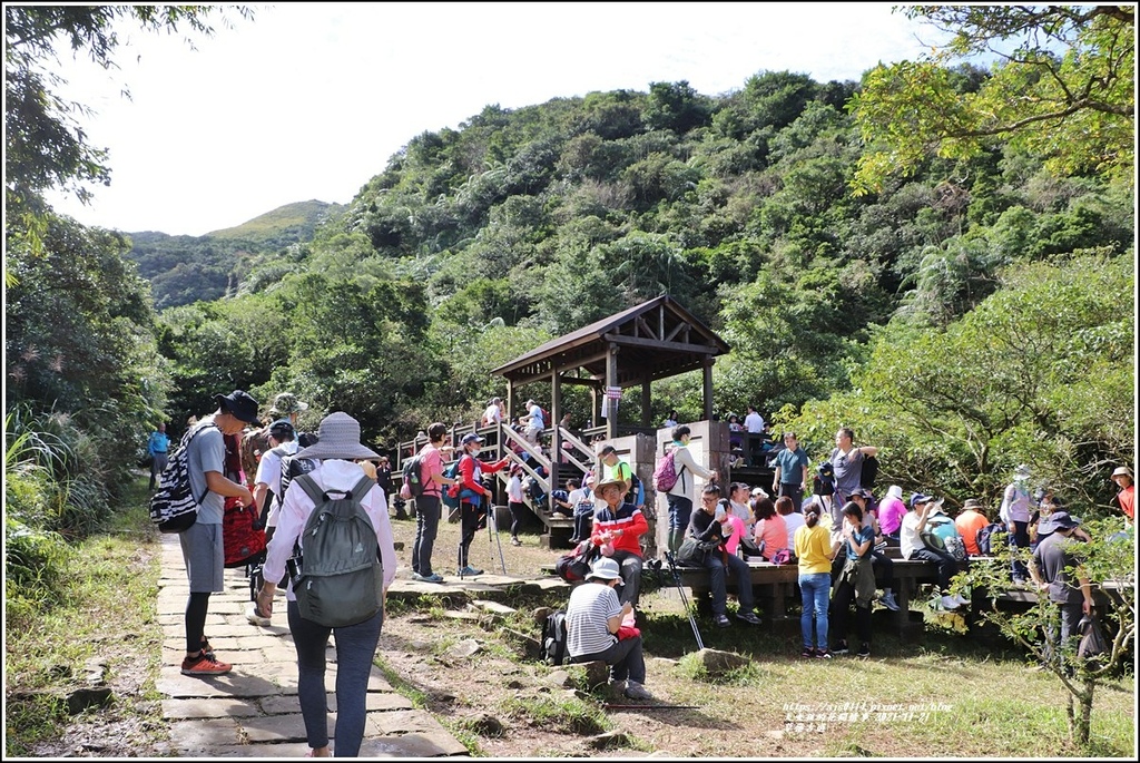 草嶺古道-2021-11-25.jpg