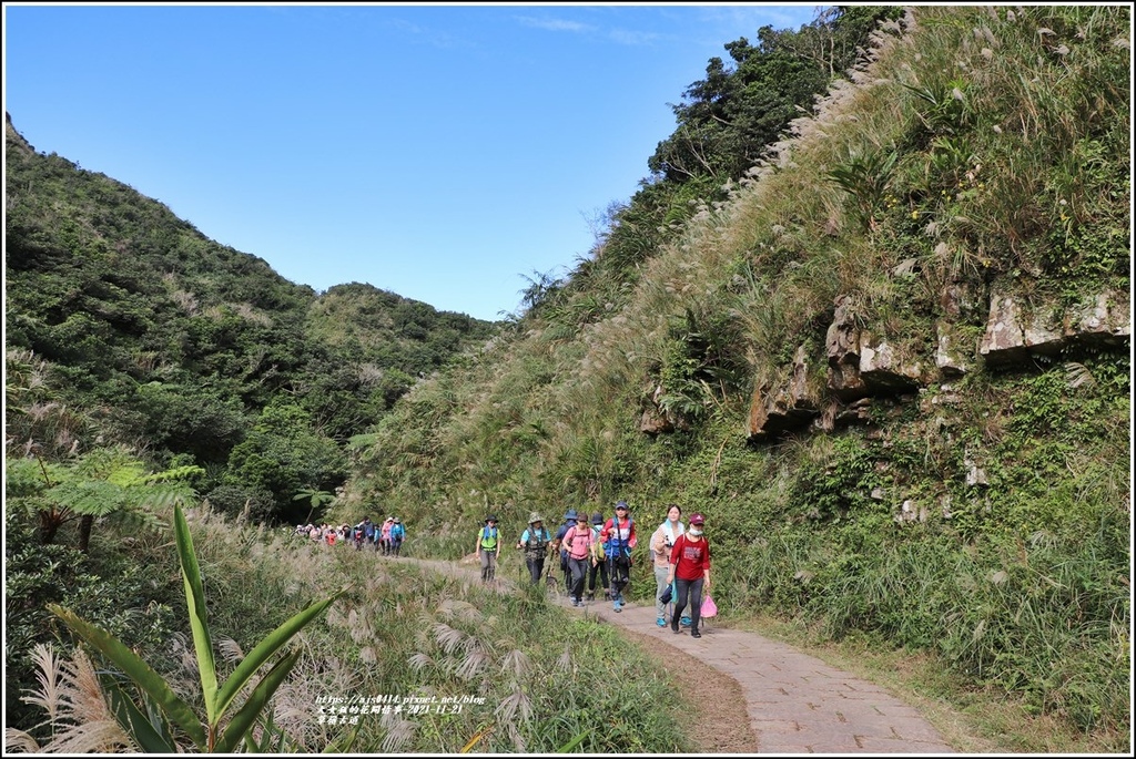 草嶺古道-2021-11-37.jpg