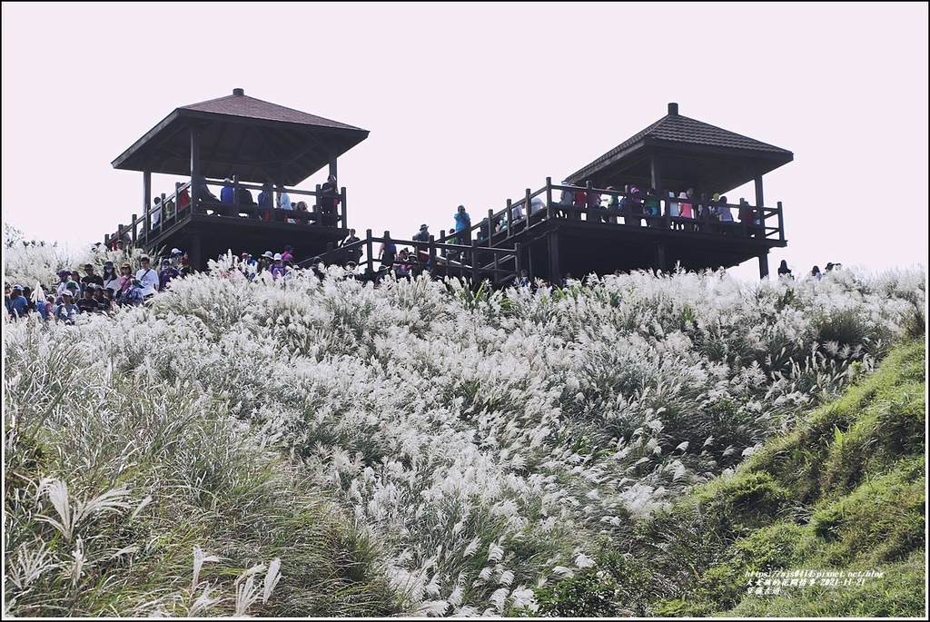 草嶺古道-2021-11-35.jpg