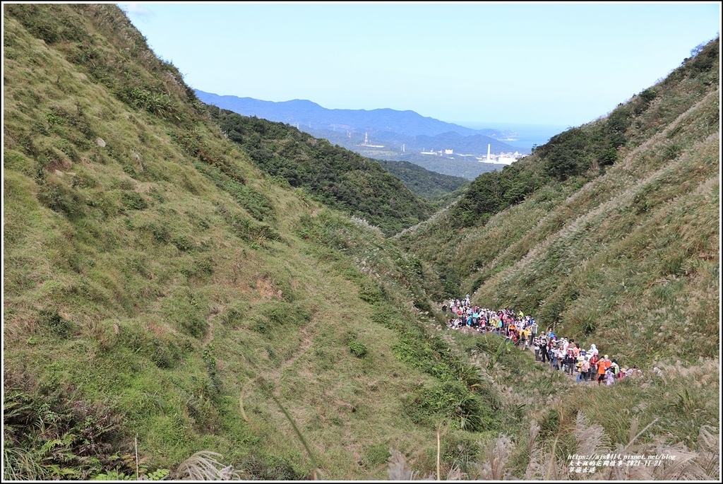 草嶺古道-2021-11-47.jpg