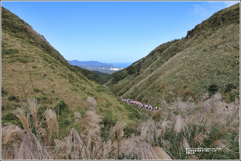 草嶺古道,芒花季,跌死馬橋,雄鎮蠻煙摩碣,虎字牌,埡口觀景亭,龜山島,新北,貢寮區,郊山步道,步道,健行,芒花,芒草,賞芒景點,登山健行,古道,雄鎮蠻煙摩碣處,福隆,福隆便當,護管所,碑林區,大里天公廟,大里遊客中心,福隆車