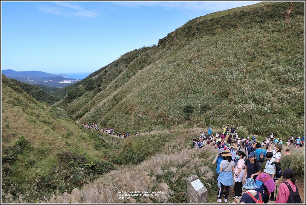 草嶺古道-2021-11-52.jpg