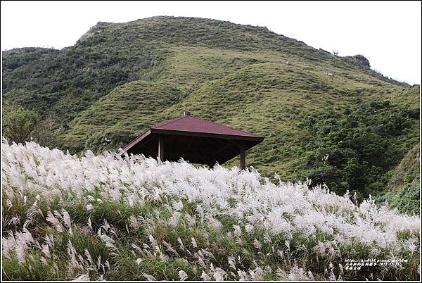 草嶺古道-2021-11-58.jpg