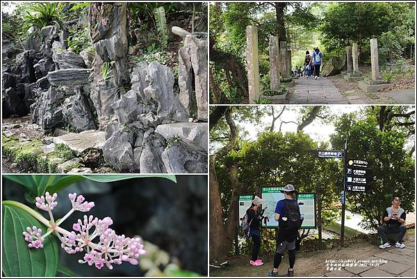 草嶺古道-2021-11-73.jpg