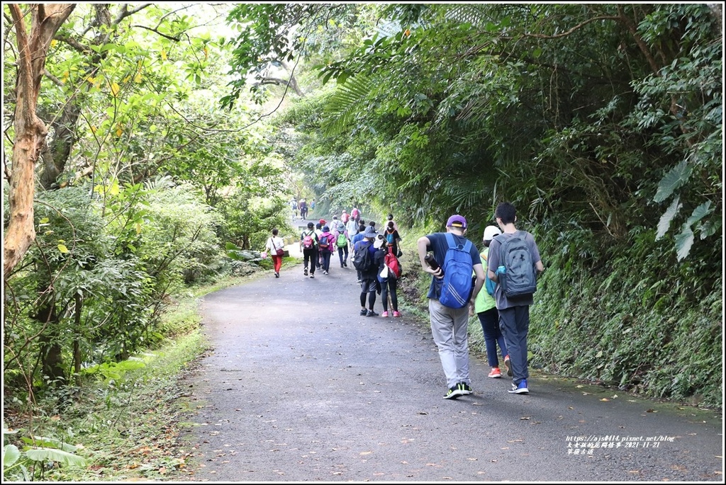 草嶺古道-2021-11-71.jpg