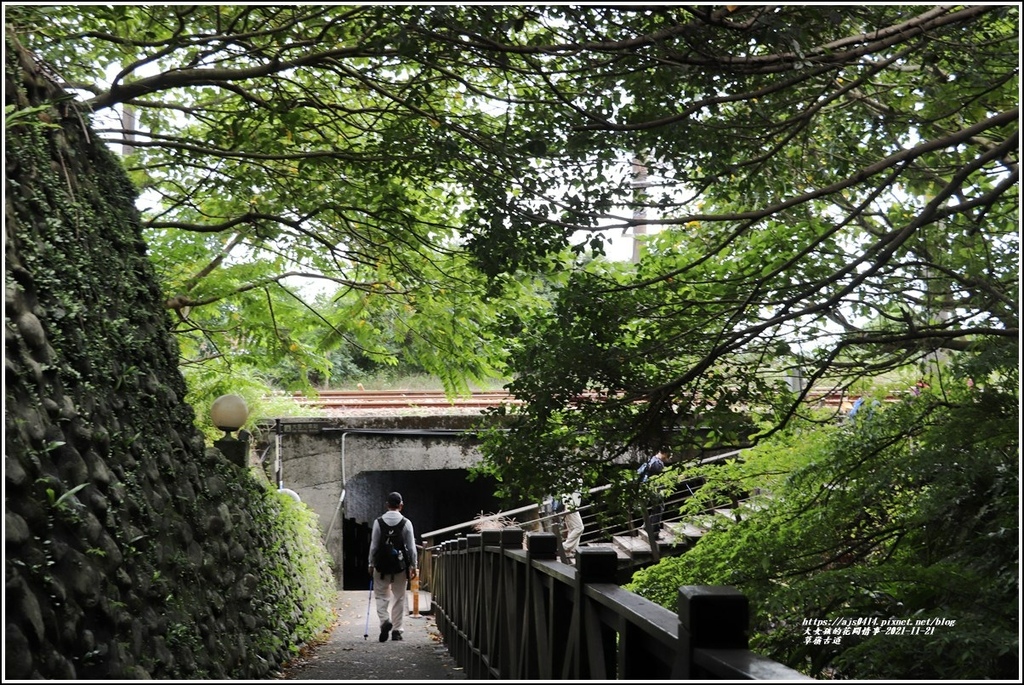 草嶺古道-2021-11-80.jpg