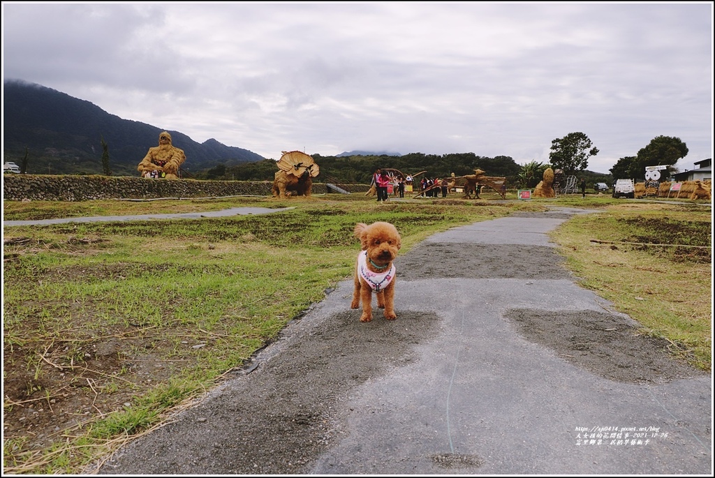 富里鄉第三屆稻草藝術季-2021-12-14.jpg