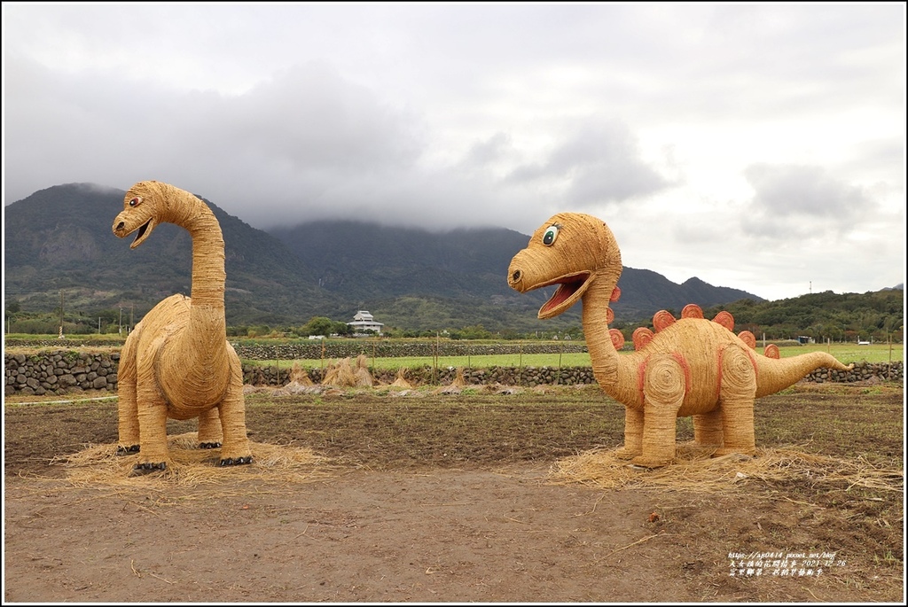 富里鄉第三屆稻草藝術季-2021-12-26.jpg