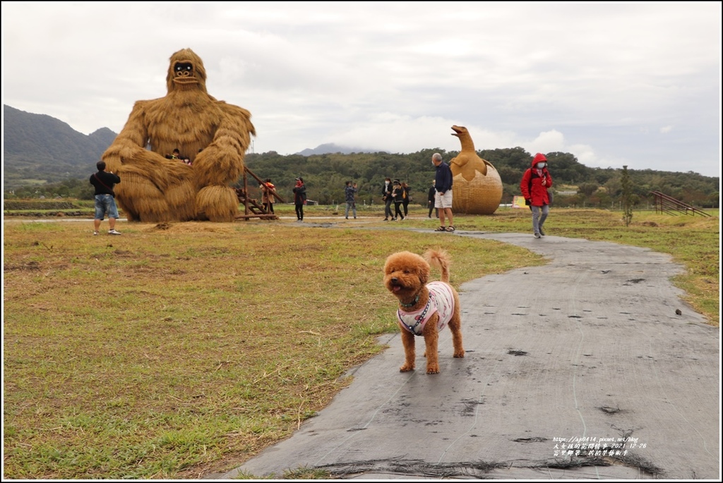 富里鄉第三屆稻草藝術季-2021-12-45.jpg